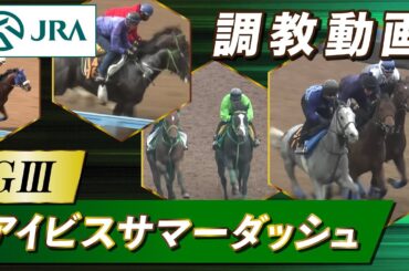 【調教動画】2024年 アイビスサマーダッシュ｜JRA公式