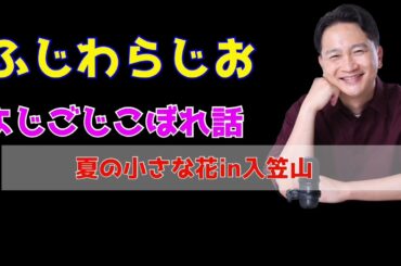 よじごじこぼれ話「夏の小さな花in長野入笠山」