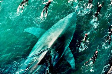 パリ五輪が危ない理由【映画紹介】