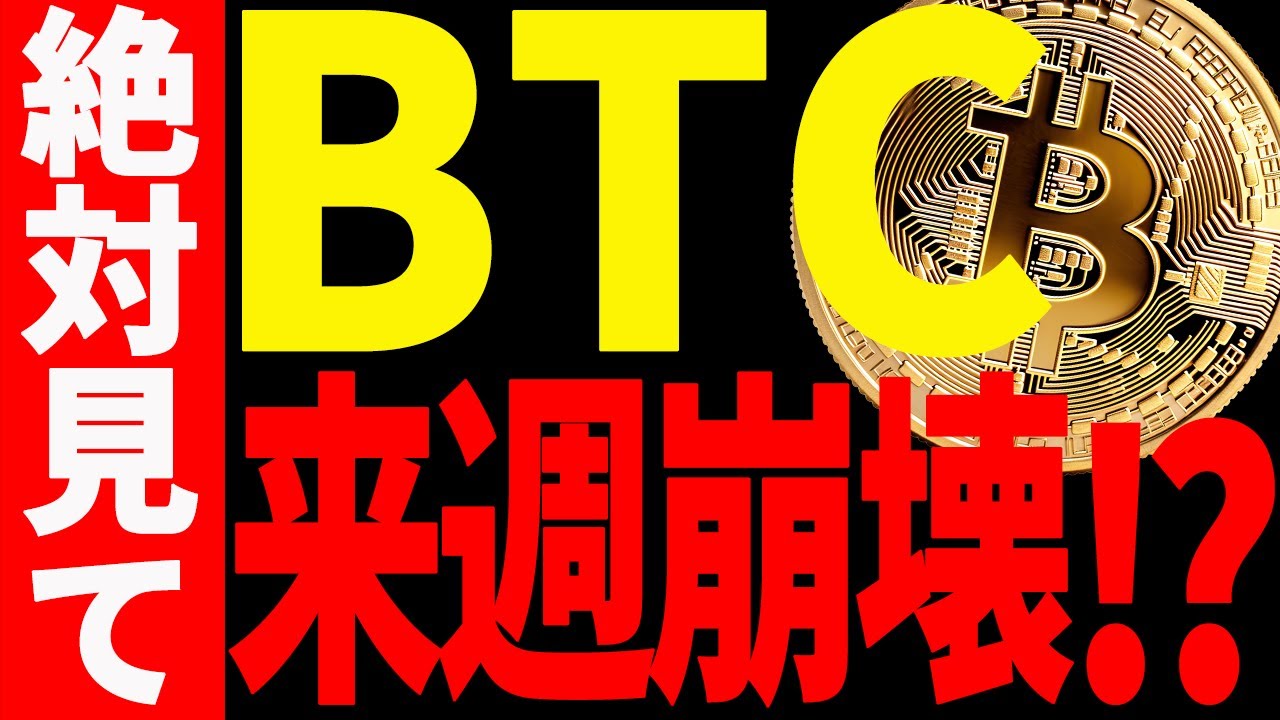 ⚠️必ず見て⚠️ビットコインが来週更に暴落⁉︎今後の最新分析を共有！【仮想通貨】