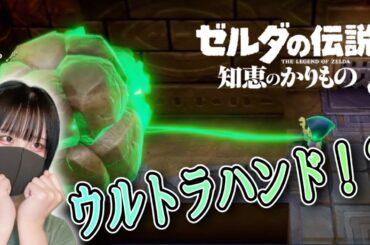 ゼルダ完全新作の最新情報！【知恵のかりもの】