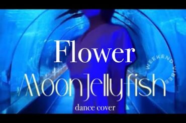 moon jellyfish    Flower     踊ってみた