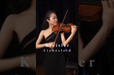 【Liebesleid】Kreisler |【愛の悲しみ】クライスラー #violin #バイオリン