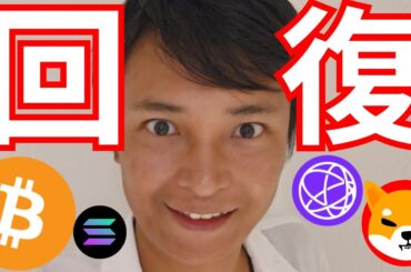 仮想通貨価格かなり回復！来週ビットコイン爆上げ期待