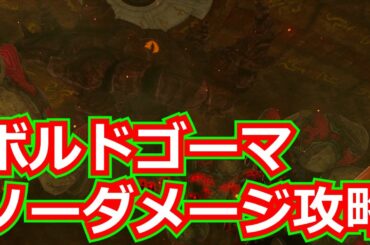 [ゼルダの伝説]ボルドゴーマをノーダメージ攻略/ティアキン