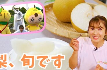 梨といえば埼玉産！その秘密はこれを見てね【いまドキッ！埼玉】2024.8.3放送