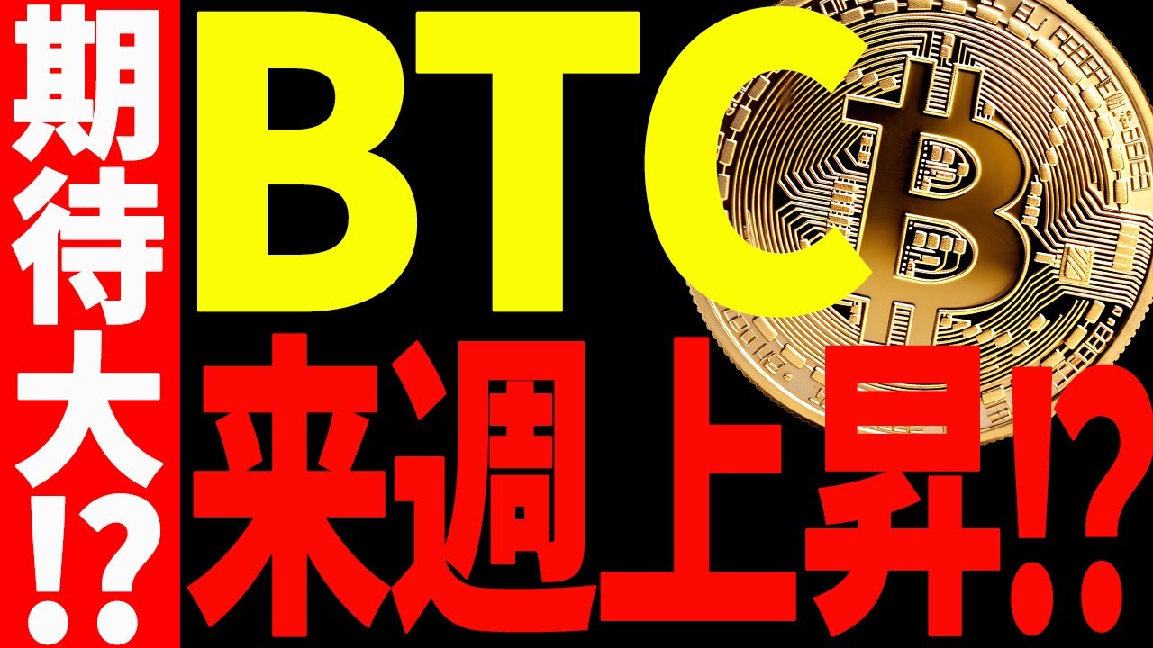 【期待大⁉︎】ビットコインが来週上昇⁉︎今後の最新分析を共有！【仮想通貨】