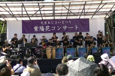 ⑥MOONLIGHT SERENADE　2024年6月16日（令和６年）　第40回文京紫陽花祭り　紫陽花コンサートUrbanNight JazzOrchestra　アーバンナイト ジャズ オーケストラ