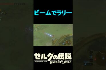 【攻略】ガーディアンのビームでラリー【ゼルダの伝説ブレスオブザワイルド】【Botw】#ゼルダの伝説ブレスオブザワイルド #ブレワイ