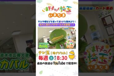 【予告】#カパル #クマムシくん #ゾウキリン #ダムカード #マンホールカード #小堺翔太 #松井咲子 #アンゴラ村長 #にゃんこスター #明坂聡美 #いまたま #埼玉県 #埼玉 #shorts