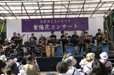 ⑩This Masquerade　2024年6月16日（令和６年）　第40回文京紫陽花祭り　紫陽花コンサートUrbanNight JazzOrchestraアーバンナイト ジャズ オーケストラ