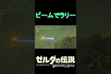 【攻略】ガーディアンのビームでラリー【ゼルダの伝説ブレスオブザワイルド】【Botw】#ゼルダの伝説ブレスオブザワイルド #ブレワイ