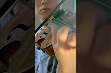 H.Dutilleux: Concerto for violin "Tree of Dreams"｜H.デュティユ: ヴァイオリン協奏曲《夢想の樹》より #shorts