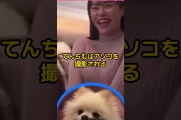 てんちむの驚くべき雑学