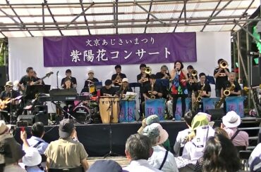 ⑫真赤な太陽　2024年6月16日（令和６年）　第40回文京紫陽花祭り　紫陽花コンサートUrbanNight JazzOrchestraアーバンナイト ジャズ オーケストラ
