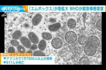 「エムポックス」急拡大でWHO緊急事態宣言 アフリカ中部などで今年1万7千人以上が感染(2024年8月15日)