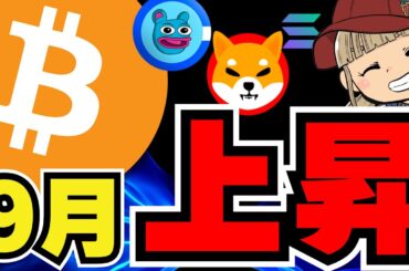 【🔥仮想通貨9月上昇か】ビットコインバブル来る？波に備えよ／ソラナがイーサリアムに勝つ？３年以内に何が起こるの？／ミームコイン、クジラが動き出す。。ドージコイン、柴犬、BRETT