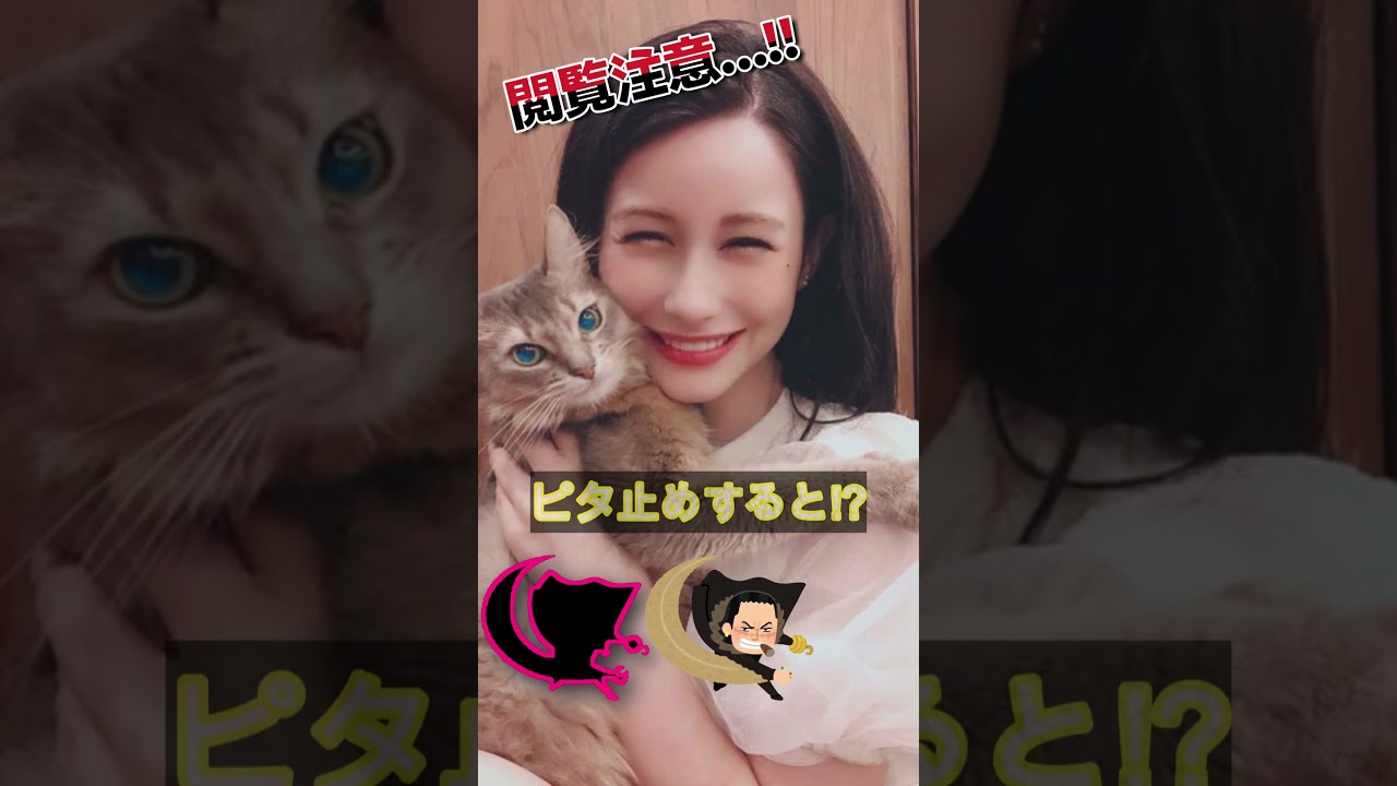 ダレノガレ明美があの姿に!?＃ピタ止めチャレンジ
