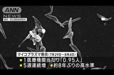 マイコプラズマ肺炎　5週連続増　感染広がる(2024年8月13日)