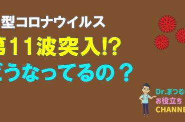 新型コロナウイルス感染症の現在（2024年7月19日）