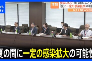 新型コロナ「夏の間に一定の感染拡大生じる可能性」専門家から対策をヒアリング　コロナ以外の感染症も含めて感染拡大防止を｜TBS NEWS DIG