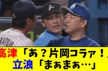 【乱闘】高津監督 vs 片岡ヘッド！！ 立浪監督が仲裁ｗｗｗｗ