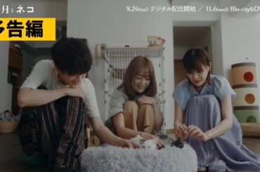 【予告】映画『三日月とネコ』9月24日(火)デジタル先行配信＆11月6日(水)Blu-ray＆DVD発売！
