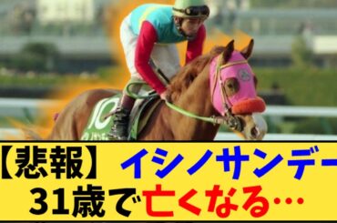 【競馬】「【悲報】皐月賞馬、イシノサンデー逝く 」に対する反応【反応集】