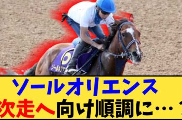 【競馬】「ソールオリエンス　天皇賞秋に向けて成長か！？」に対する反応【反応集】