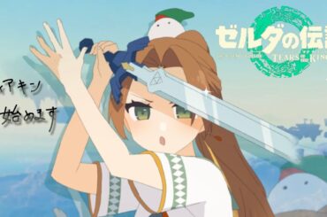 ゆったりまったり始めるよ【ゼルダの伝説 ティアーズ オブ ザ キングダム】part1