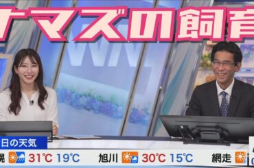 【魚住茉由×山口剛央】クラゲとのお別れ｜エビちゃん｜ナマズもいた【ウェザーニュース】