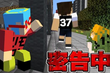 背中の数字を絶対に見られてはいけない【マインクラフト】【カラフルピーチ×ぷちひな×たま】