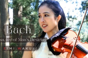 Bach: Jesu, Joy of Man's Desiring【Violin】｜Eimi Wakui