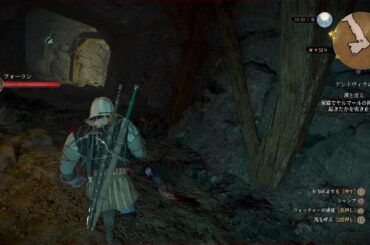 ウィッチャー３　ワイルドハント　コンプリートエディション_20240805003318