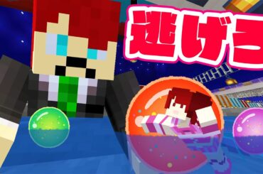 巨人に潰されちゃう逃走中！？小人かくれんぼ【マインクラフト】【ぷちひな×いんく×たま】