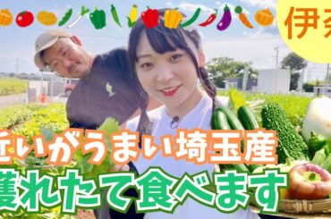 アンゴラ村長の語録がまた増えた！「自信満々ナス」「指輪で着飾った野菜」っていったい…？【いまドキッ！埼玉】2024.8.24放送