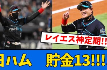 【はむほー!!!!!】日ハム清宮レイが止まらない!!貯金13に再浮上!!!【プロ野球反応集】【2chスレ】【5chスレ】