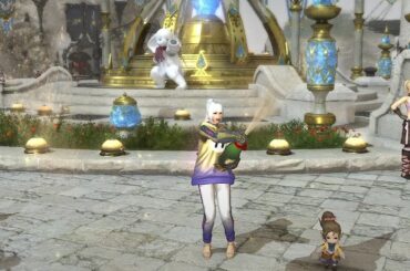 【ゲームゲノム】#59 ファイナルファンタジーXIV（FINAL FANTASY XIV）[PC版] 初見プレイ（26）【NHK】