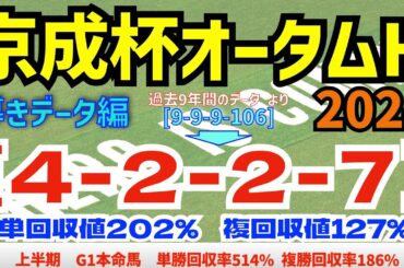 【京成杯オータムH2024】　導きデータ編　過去10年間のデータから導かれた馬とは！【データ傾向】【競馬予想】