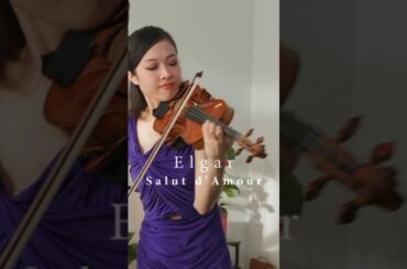 【Salut d'Amour】Elgar |【愛の挨拶】エルガー#violin #バイオリン