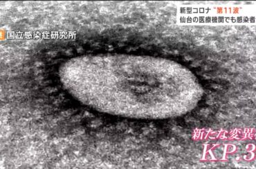 「6月下旬以降すべてKP.3」新型コロナ第11波で感染者増加　熱中症と症状似ている「熱出たら迷わず医療機関へ」