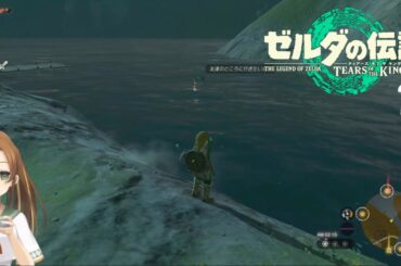 コログの川流し【ゼルダの伝説 ティアーズ オブ ザ キングダム】part3