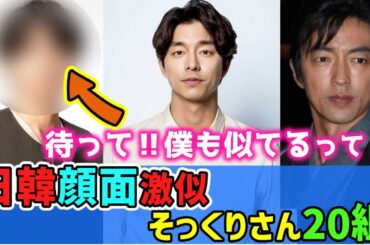 日韓人気有名人【顔面激似🌟そっくりさん20組】をご紹介‼【リクエスト】
