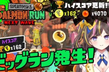 ビッグラン参加型！一緒にビッグランに挑戦だ☆「スプラトゥーン3」初心者 実況プレイ【女性実況】