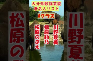 大分県歌謡芸能著名有名人リスト2024年版、個人的評価