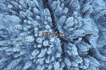 揺れる森 【feat. Synthesizer V AI Ayame】