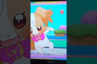 【昭和のミスマガジン6✕わんだふるぷりきゅあ】とあるわんだふるぷりきゅあのOpening【細川ふみえ】