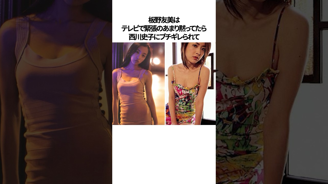 板野友美がテレビから干された真相に関する雑学#shorts