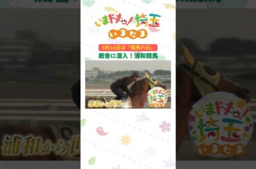 【予告】#浦和競馬 #浦和競馬場 #競馬 #地方競馬 #競走馬 #小堺翔太 #明坂聡美 #松井咲子 #カナイ #いまたま #埼玉県 #埼玉 #shorts