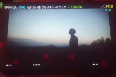 [J-POP_불러보았다／歌ってみた] 下川みくに - 枯れない花 [노래방(Karaoke) Ver.]